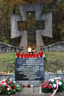Krzyz Jerzykow_1