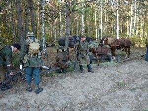 polana_pociecha_17_20110411_2054654835