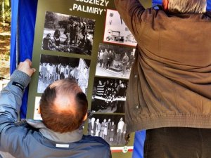 Palmiry 2010