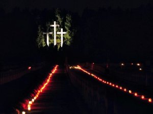 Palmiry 2010