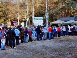 Palmiry 2010