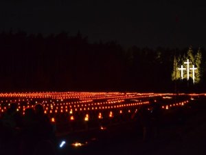 Palmiry 2013 - Zdjęcia 53. Centralny Zlot Młodzieży "Palmiry" 2013