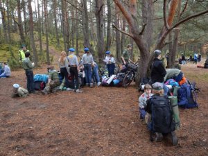 Palmiry 2014