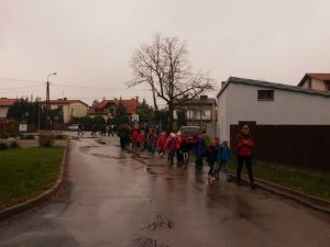 Palmiry 2017 - na trasach