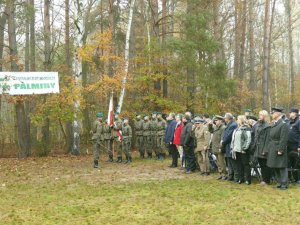Palmiry 2-17 - Jerzyki