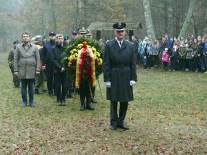Palmiry 2-17 - Jerzyki