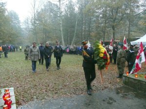 Palmiry 2-17 - Jerzyki