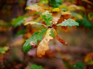 DSC01031-029